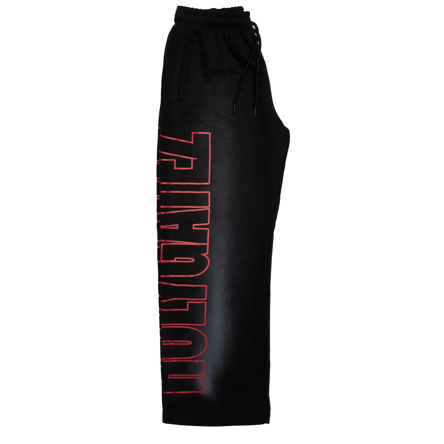 BAGGY HOLY GATEZ SWEATS